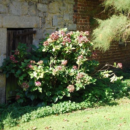 Gite La Grange D'Herbuchenne Ντινάντ Εξωτερικό φωτογραφία