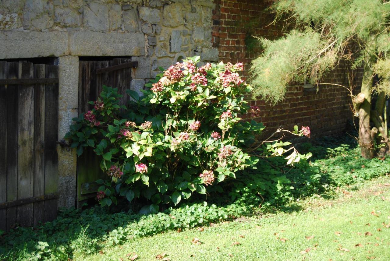 Gite La Grange D'Herbuchenne Ντινάντ Εξωτερικό φωτογραφία